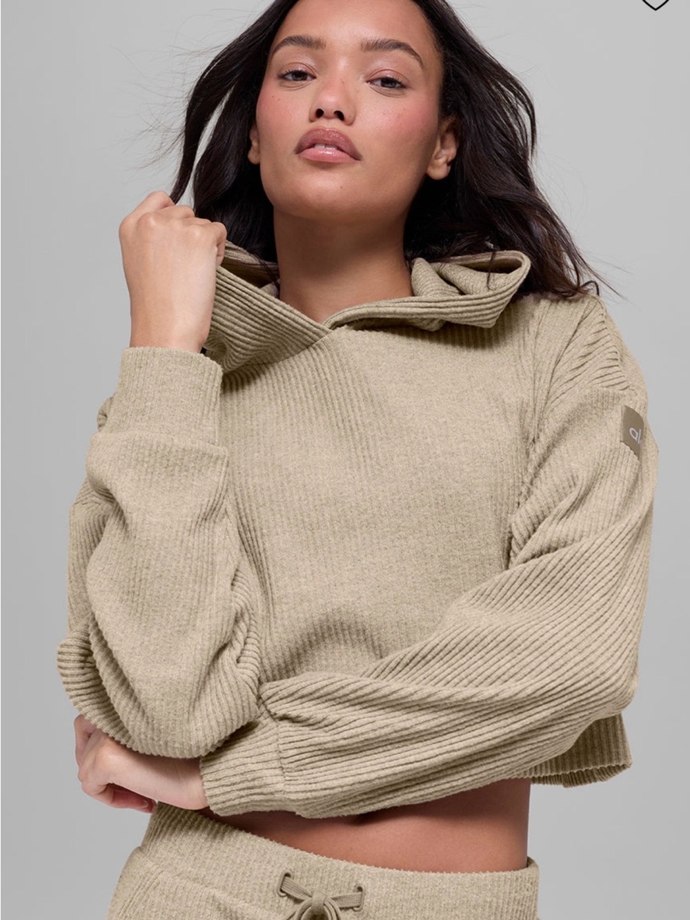 ALO Muse Hoodie— NWOT — NEVER WORN Cropped Hooded Rib-Knit Sweater in Gravel